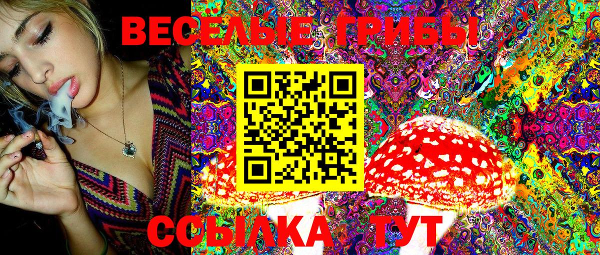 Миасс  Галлюциногенные грибы GOLDEN TEACHER  Вход с VPN 